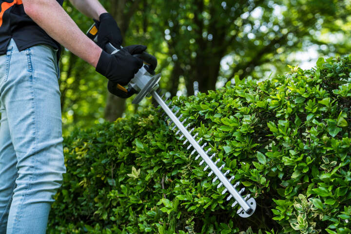 BATAVIA Heckenschere 18V Maxxpack®